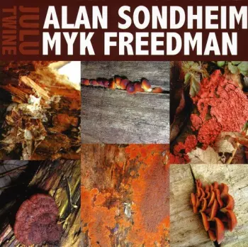 Alan Sondheim: Julu Twine