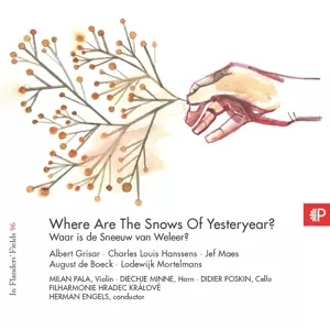 Milan Paľa: Where Are The Snows Of Yesteryear?