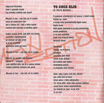 CD Aleš Brichta: American Bull (New Edition)
