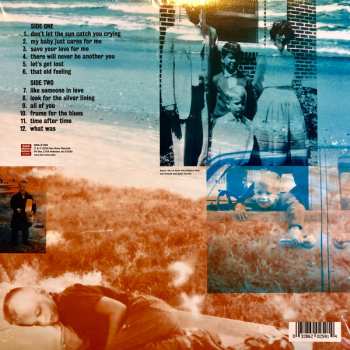 LP Alex Chilton: Songs From Robin Hood Lane