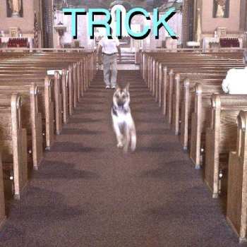 LP/SP Alex G: Trick