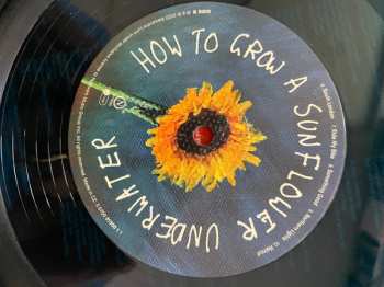 LP Alex The Astronaut: How To Grow A Sunflower Underwater CLR