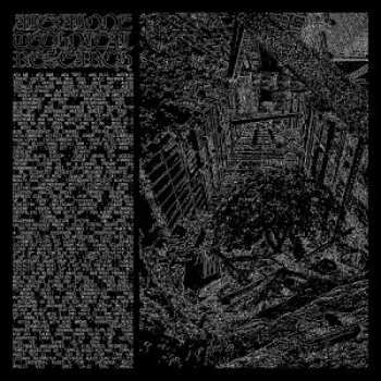 Album Alexalone: Alexalone Technical Research