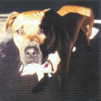 CD Alias: All Things Fixable