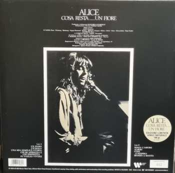 LP Alice: Cosa resta.... un fiore