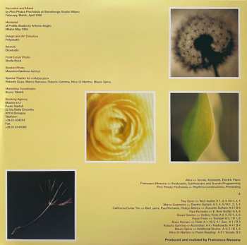 LP Alice: Charade CLR | LTD | NUM