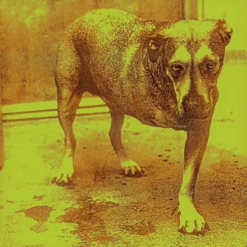 Alice In Chains: Alice in Chains