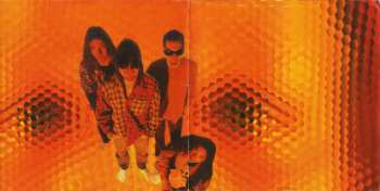 CD Alice In Chains: Jar Of Flies