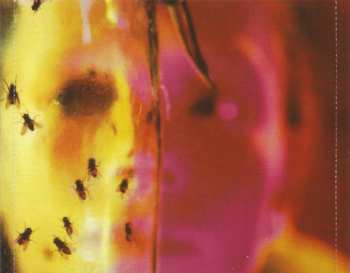 CD Alice In Chains: Jar Of Flies