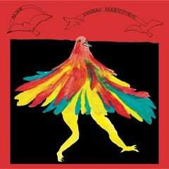 Album Alice: L'Oiseau Magnifique