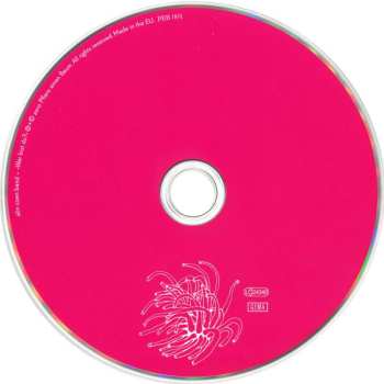 CD Alin Coen Band: Wer Bist Du?