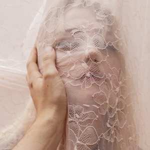 LP Alison Sudol: Still Come The Night CLR