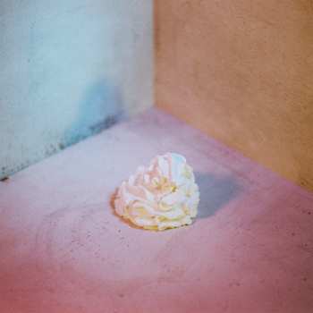 Album all boy/all girl: Slagroom