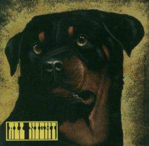 CD All Night: All Night