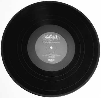 3LP/Doos Allegiance: Complete Album Anthology  LTD