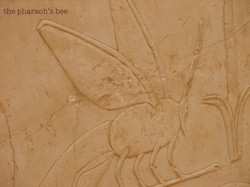 Album Allen Ravenstine: The Pharoah's Bee
