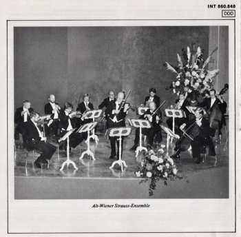 CD Alt-Wiener Strauss-Ensemble: Dorfschwalben Aus Österreich