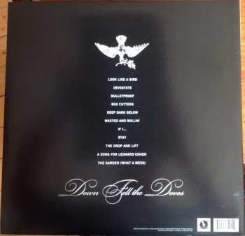 LP Amanda Shires: Down Fell The Doves
