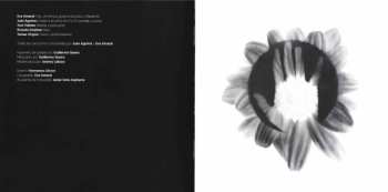 CD Amaral: Nocturnal (Solar Sessions)