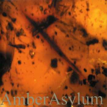 CD Amber Asylum: Frozen In Amber