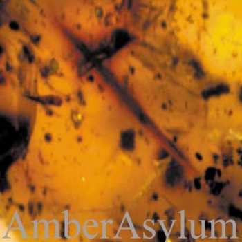 2CD Amber Asylum: Frozen In Amber DIGI