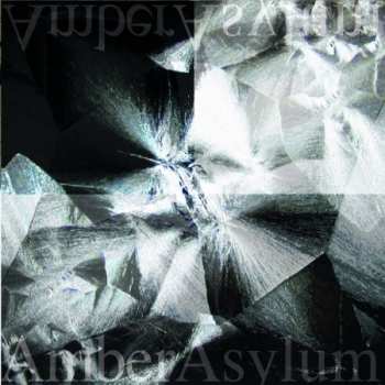 Album Amber Asylum: Still Point