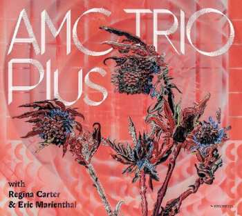 CD AMC Trio: Plus
