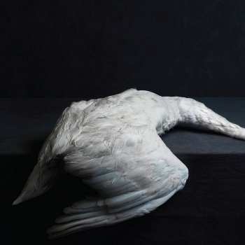 CD Amenra: Mass VI