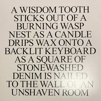 3LP/Doos Amnesia Scanner: Hoax + Strobe.Rip