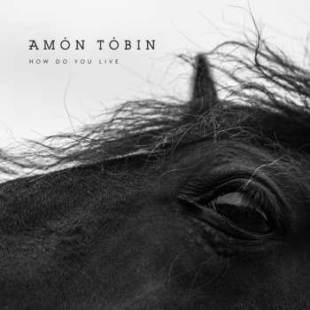 Album Amon Tobin: How Do You Live