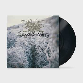 LP Signs of the Swarm: Amongst The Low & Empty
