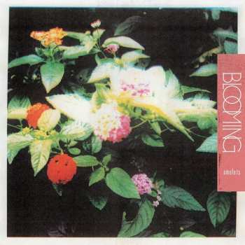 LP Amulets: Blooming CLR | LTD