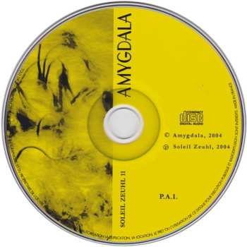CD Amygdala: Amygdala