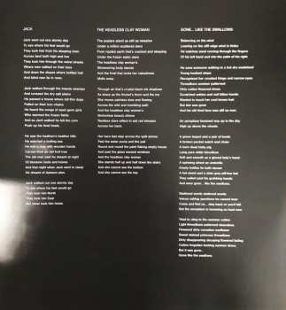 2LP And Also The Trees: Virus Meadow