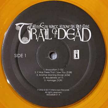 2LP ...And You Will Know Us By The Trail Of Dead: Source Tags & Codes