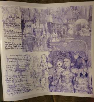 2LP ...And You Will Know Us By The Trail Of Dead: The Century Of Self CLR | LTD