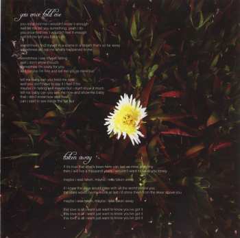 CD Andain: You Once Told Me