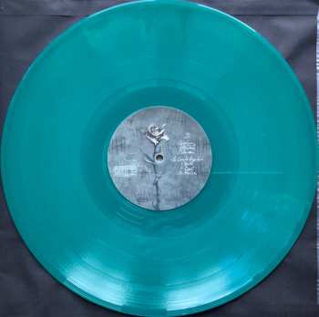 LP Anderes Holz: Continuo CLR | LTD