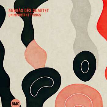 Album AndrÉ Verchuren: Unimportant Things