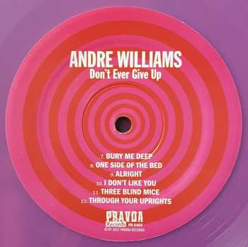 LP Andre Williams: Don't Ever Give Up