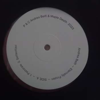 LP Andrea Belfi: Eternally Frozen CLR