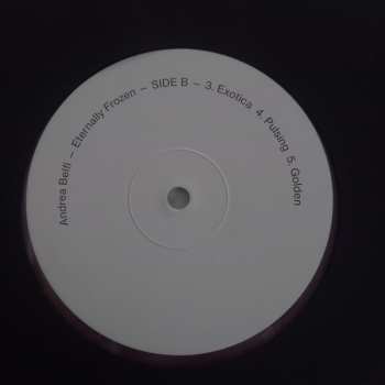 LP Andrea Belfi: Eternally Frozen CLR