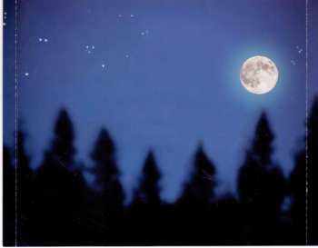 CD Andreas Martin: Mondsüchtig