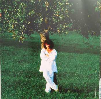 CD Andreas Vollenweider: Behind The Gardens - Behind The Wall - Under The Tree DIGI