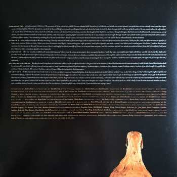 LP Andrew Bird: Armchair Apocrypha