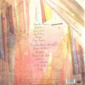 2LP/CD Andrew Bird: Break It Yourself