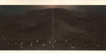 CD Andrew Bird: Fitz And The Dizzyspells