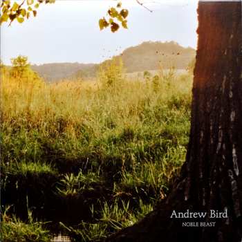 2LP Andrew Bird: Noble Beast