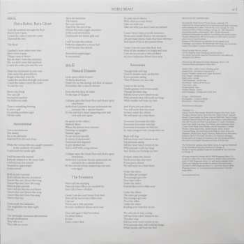 2LP Andrew Bird: Noble Beast