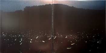 2LP Andrew Bird: Noble Beast